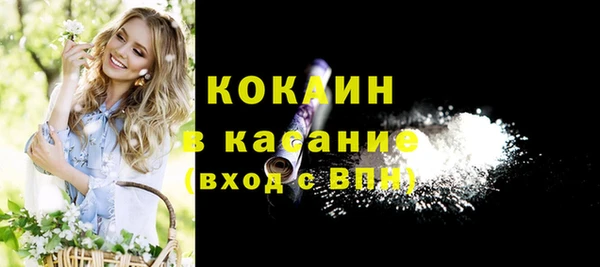 индика Алексеевка